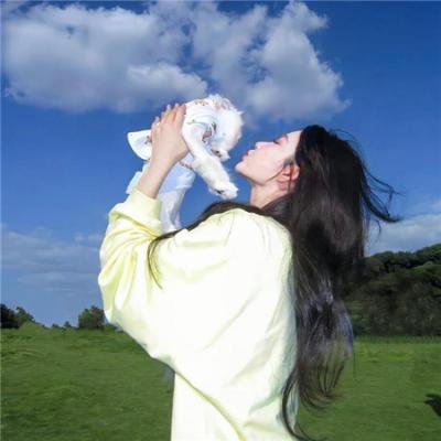 喜羊羊与灰太狼之异国破晓